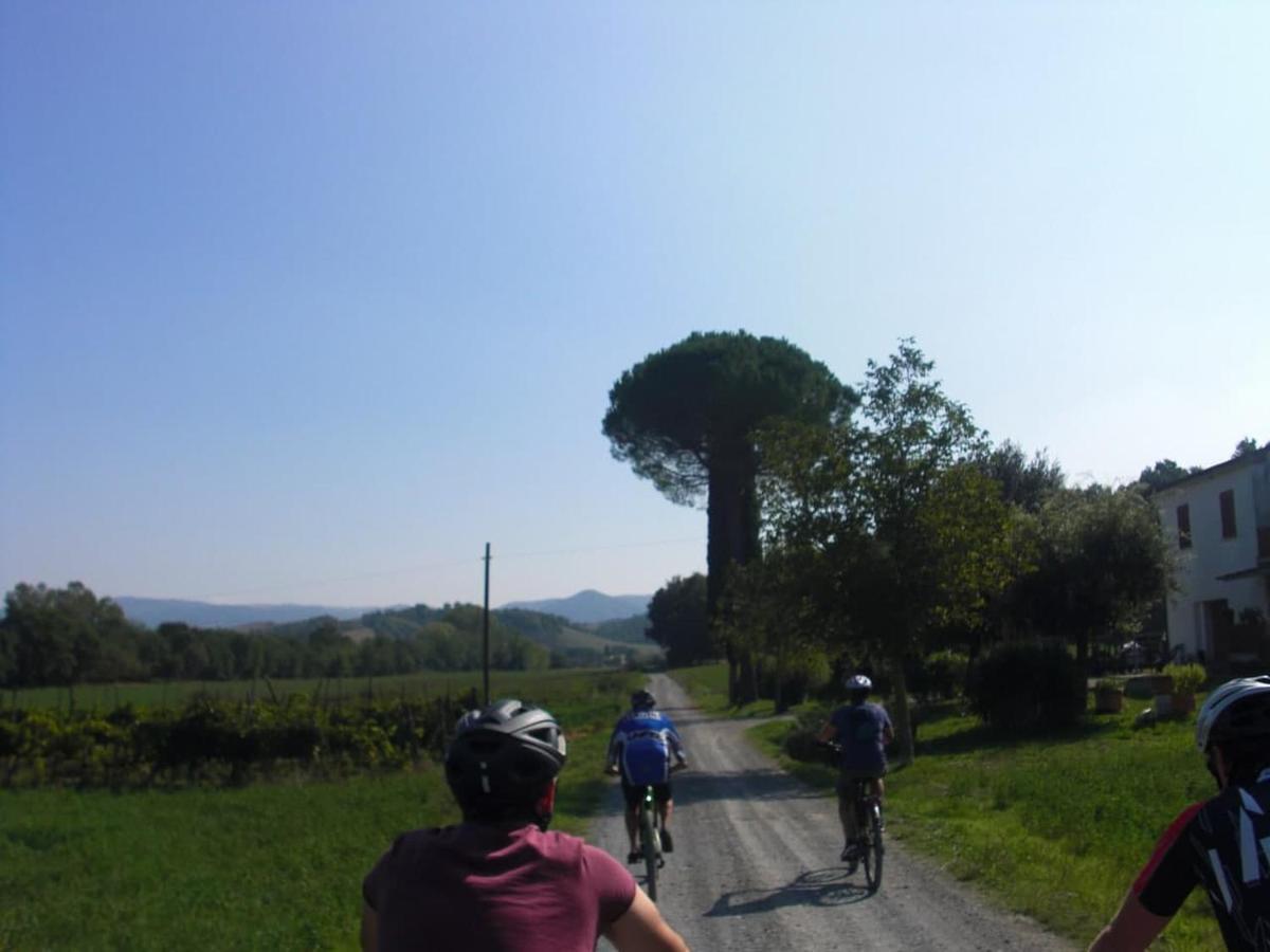 Podere Ripi โวลแตร์รา ภายนอก รูปภาพ