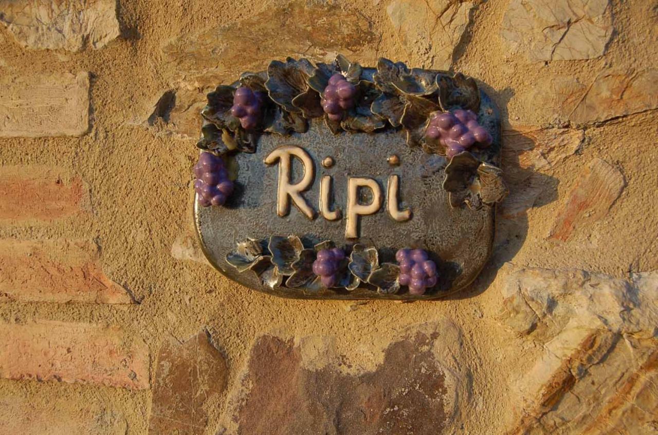 Podere Ripi โวลแตร์รา ภายนอก รูปภาพ