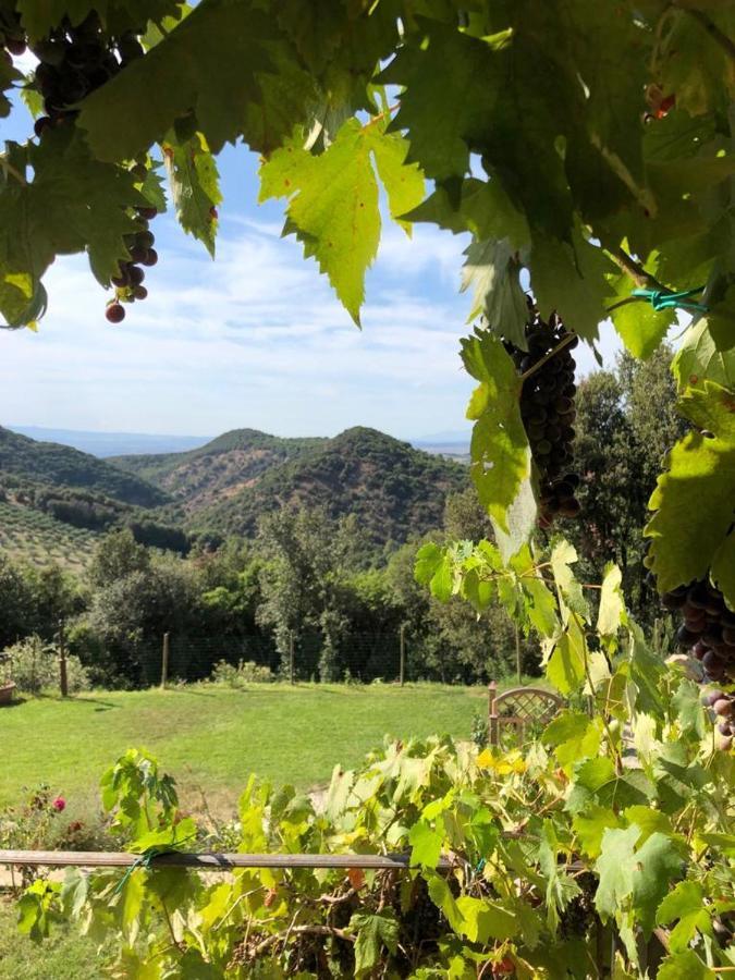Podere Ripi โวลแตร์รา ภายนอก รูปภาพ